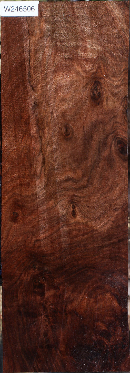 Extra Fancy Claro Walnut Lumber