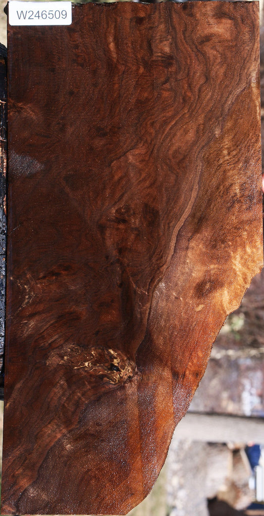 Figured Claro Walnut Lumber