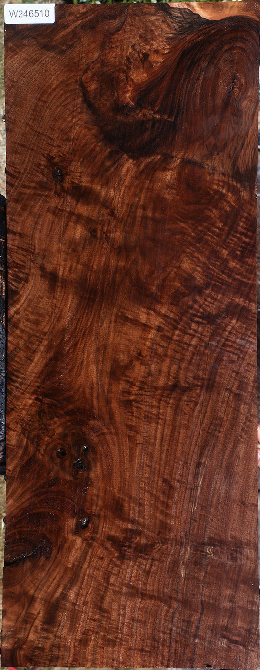 Claro Walnut Lumber