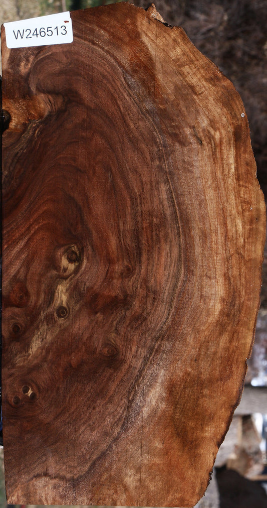 Figured Claro Walnut Live Edge Lumber