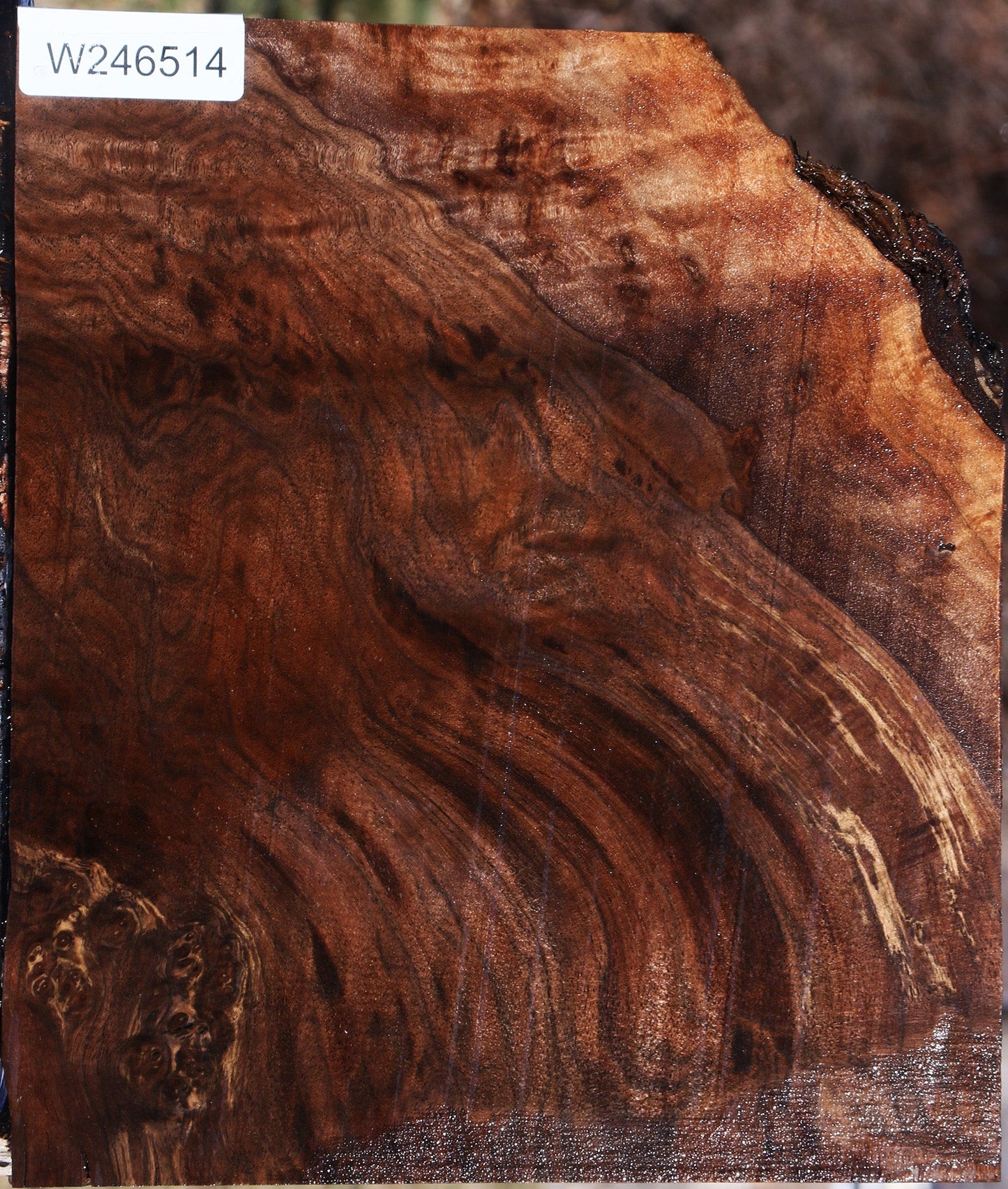 Extra Fancy Claro Walnut Lumber