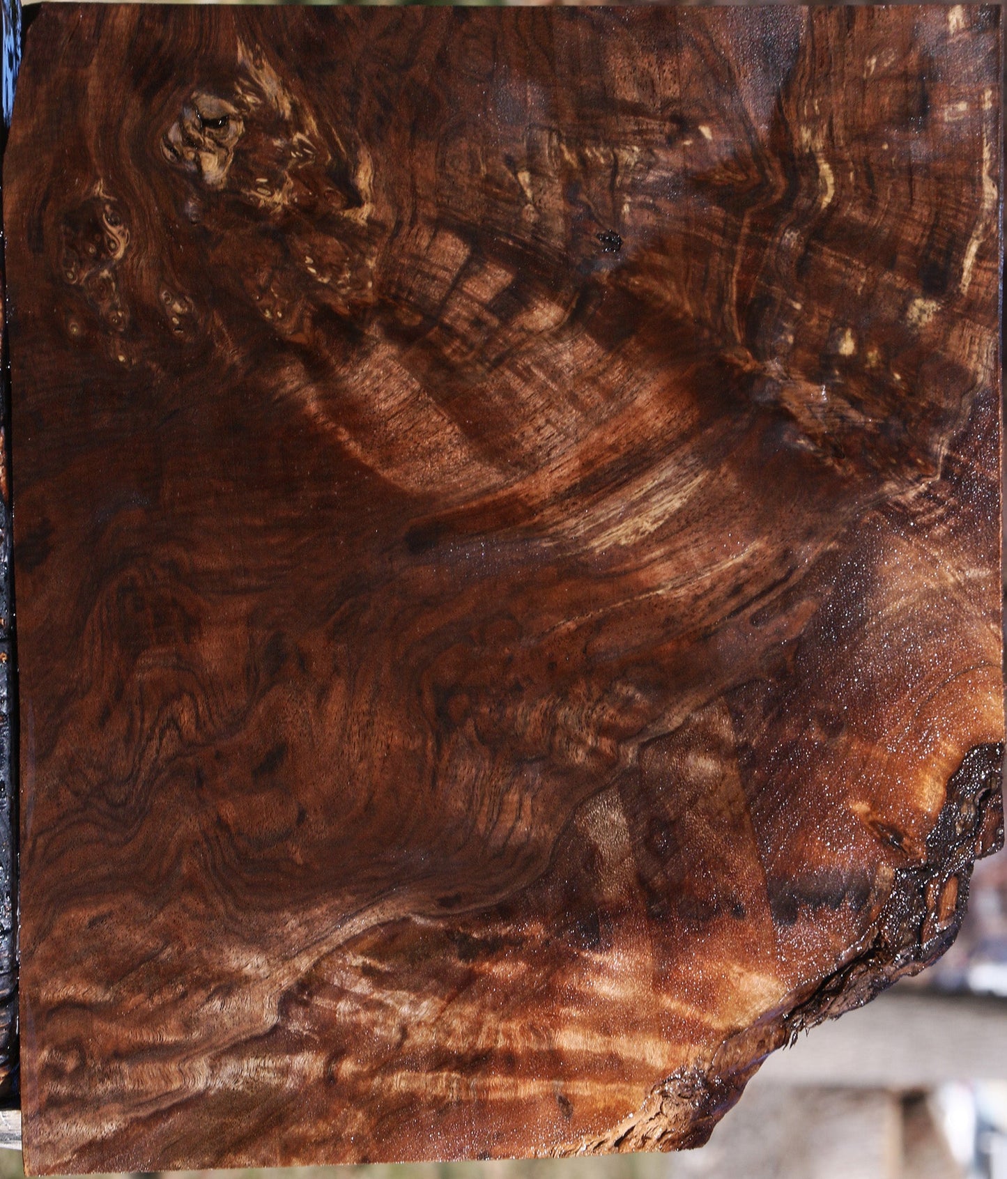 Extra Fancy Claro Walnut Lumber