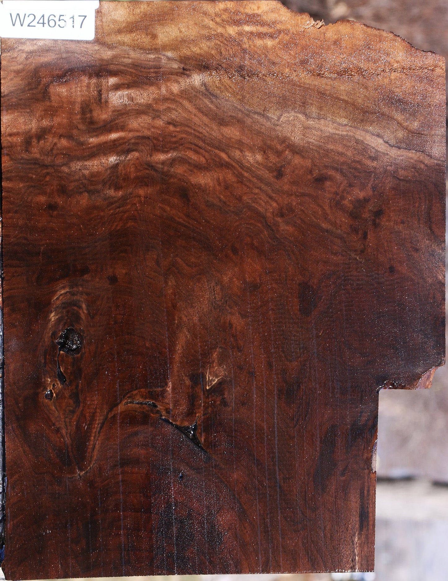 Extra Fancy Claro Walnut Lumber