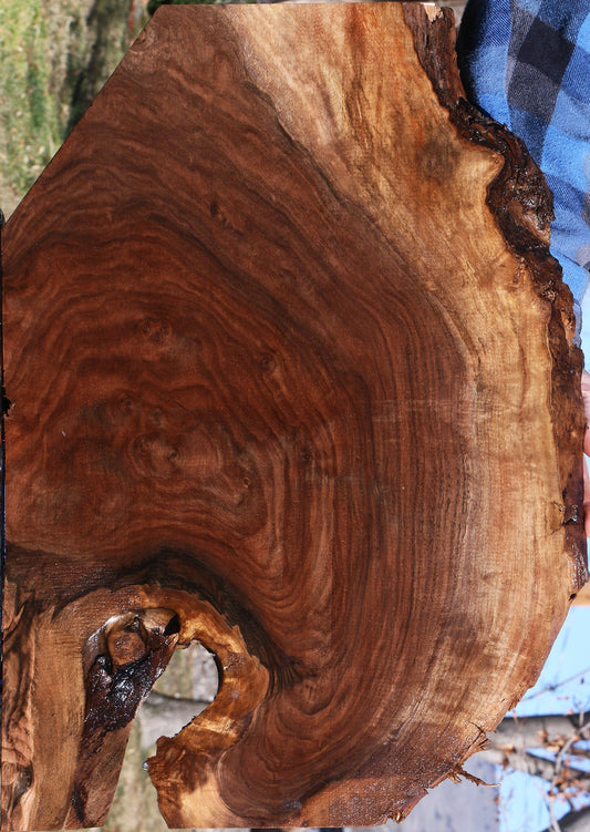 Figured Claro Walnut Live Edge Lumber