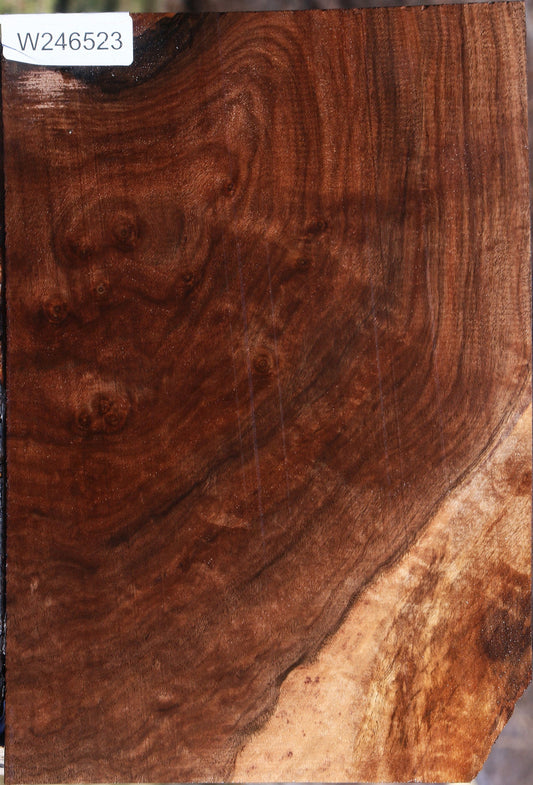 Figured Claro Walnut Lumber