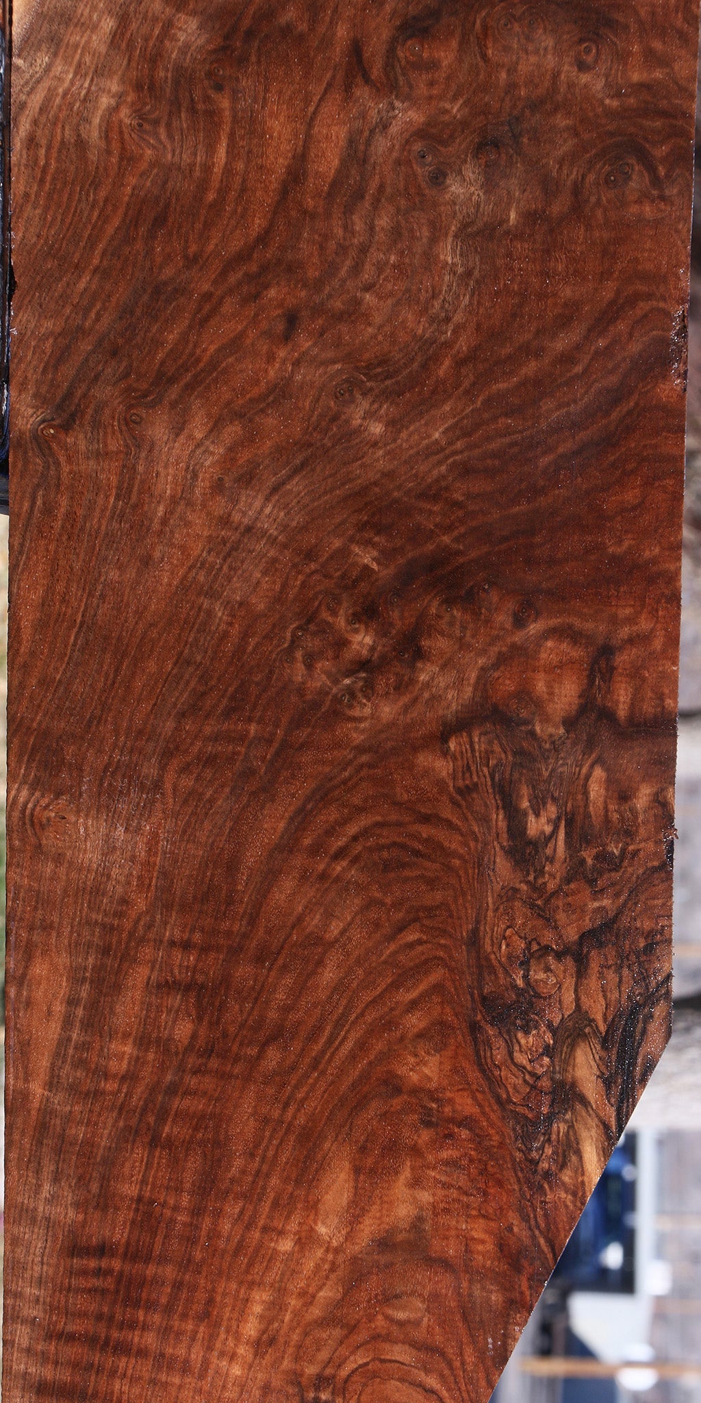 Extra Fancy Claro Walnut Instrument Lumber