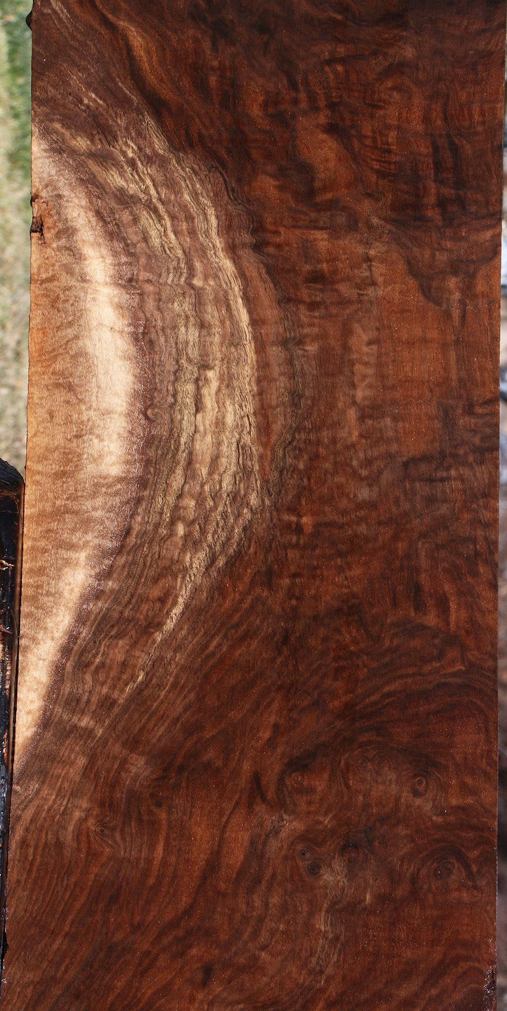 Extra Fancy Claro Walnut Instrument Lumber