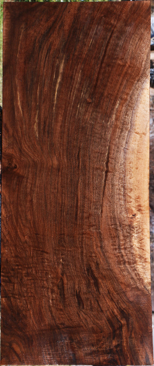Extra Fancy Claro Walnut Lumber