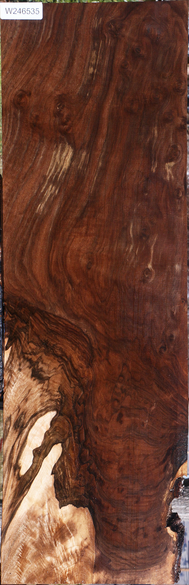 Extra Fancy Grafted Claro Walnut Lumber