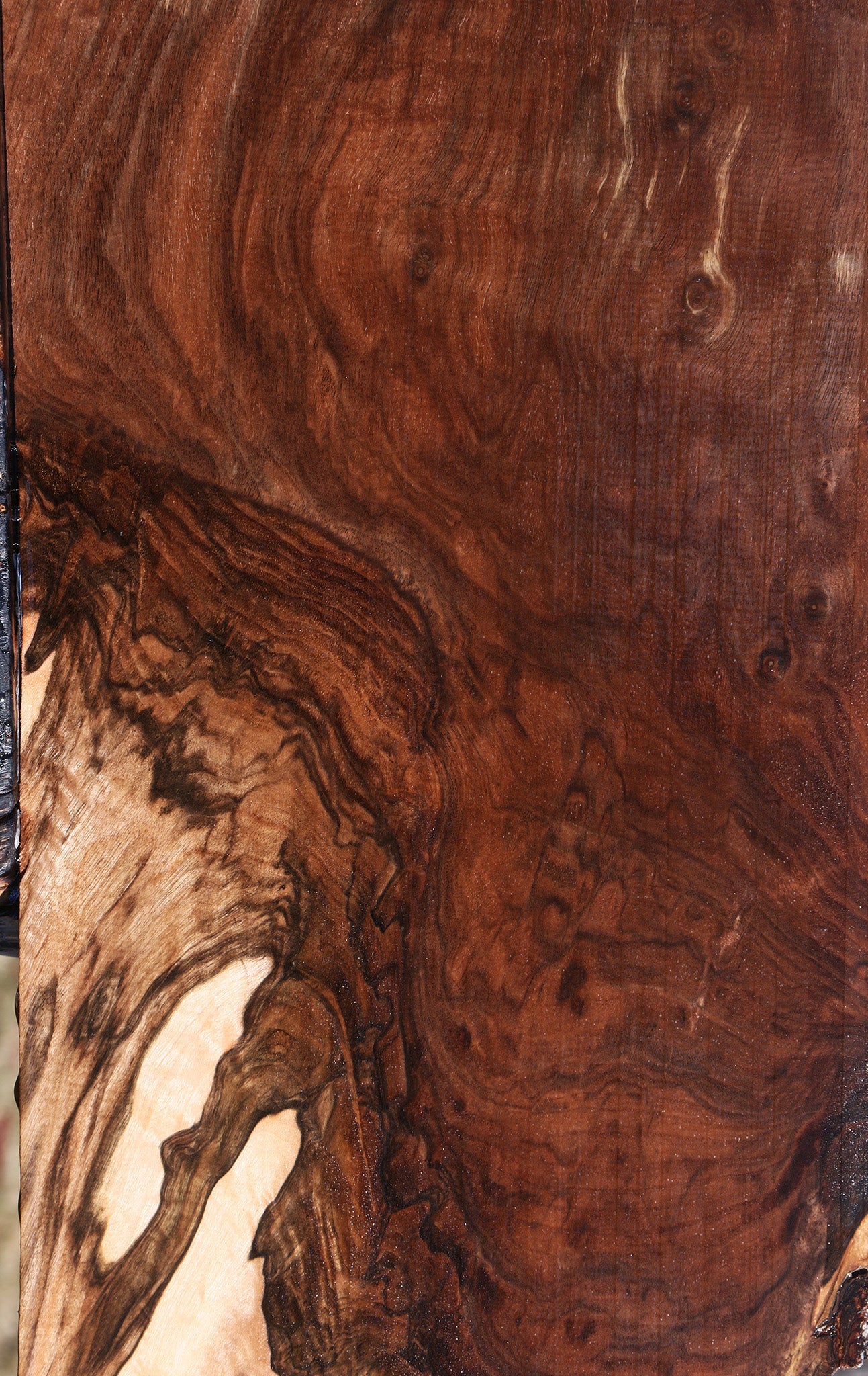 Extra Fancy Grafted Claro Walnut Lumber