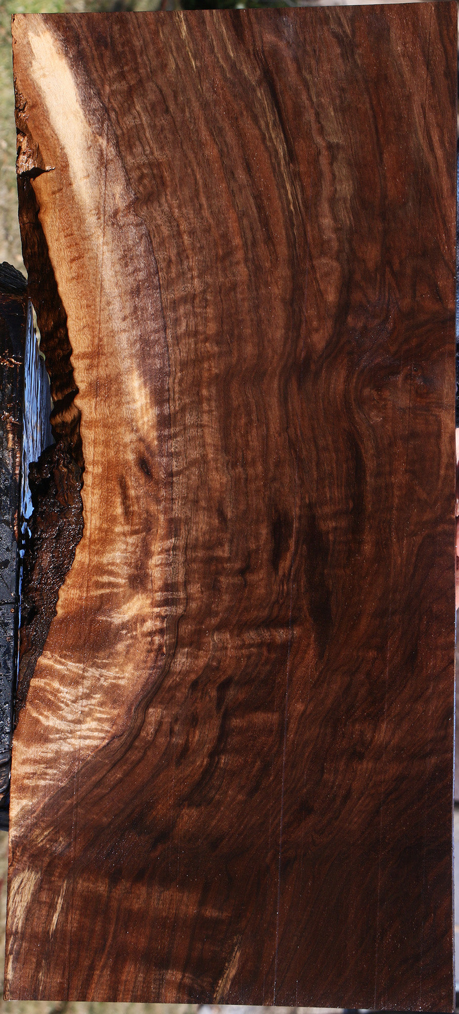 Extra Fancy Claro Walnut Instrument Lumber