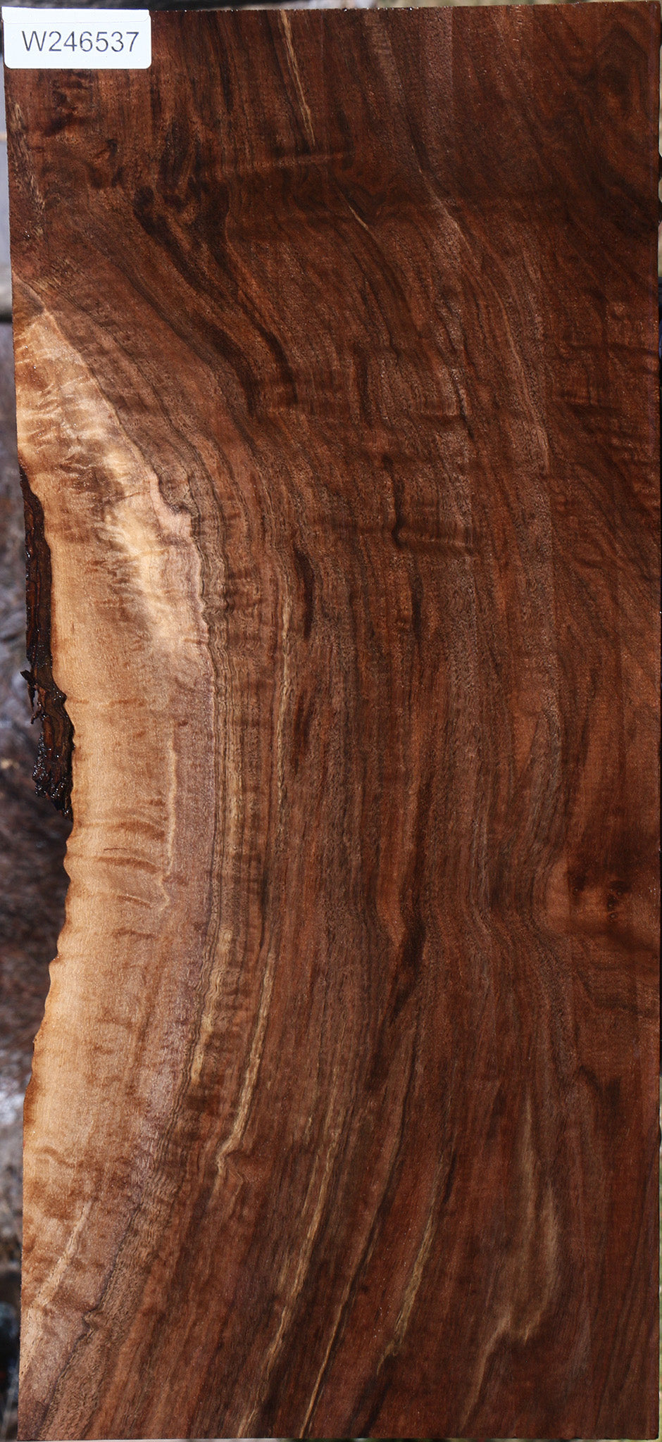 Extra Fancy Claro Walnut Instrument Lumber