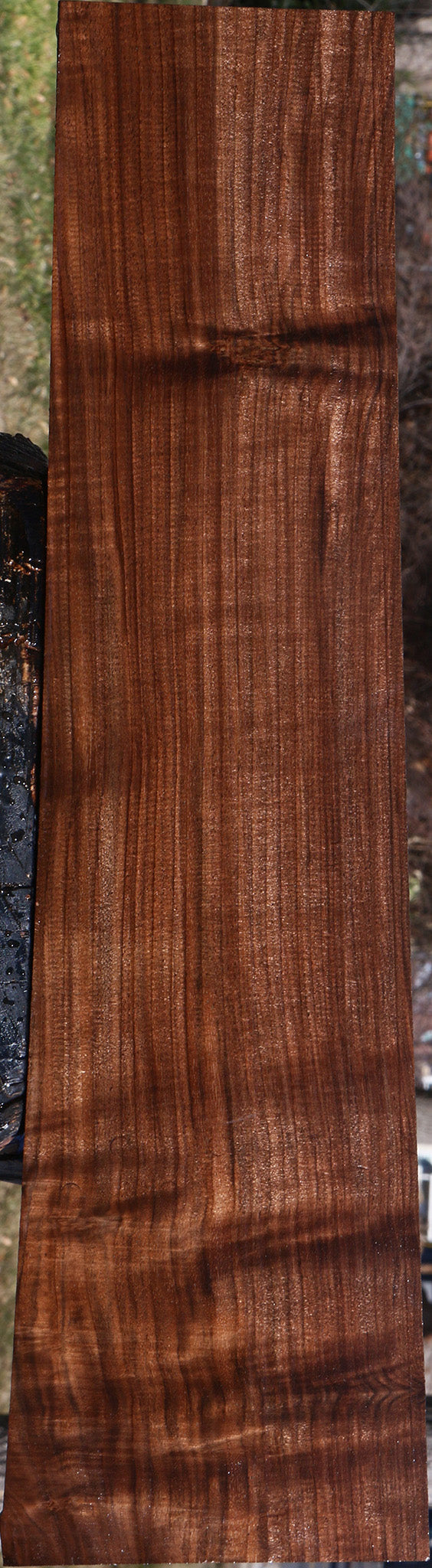 Figured Claro Walnut Lumber