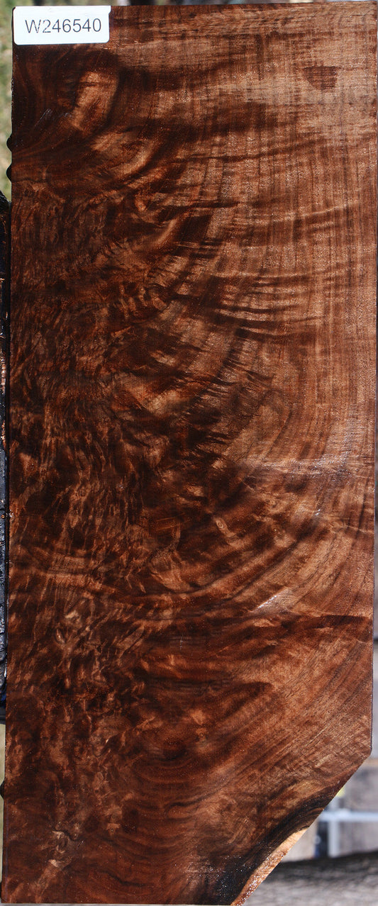 Exhibition Claro Walnut Instrument Lumber