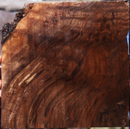 Extra Fancy Claro Walnut Lumber