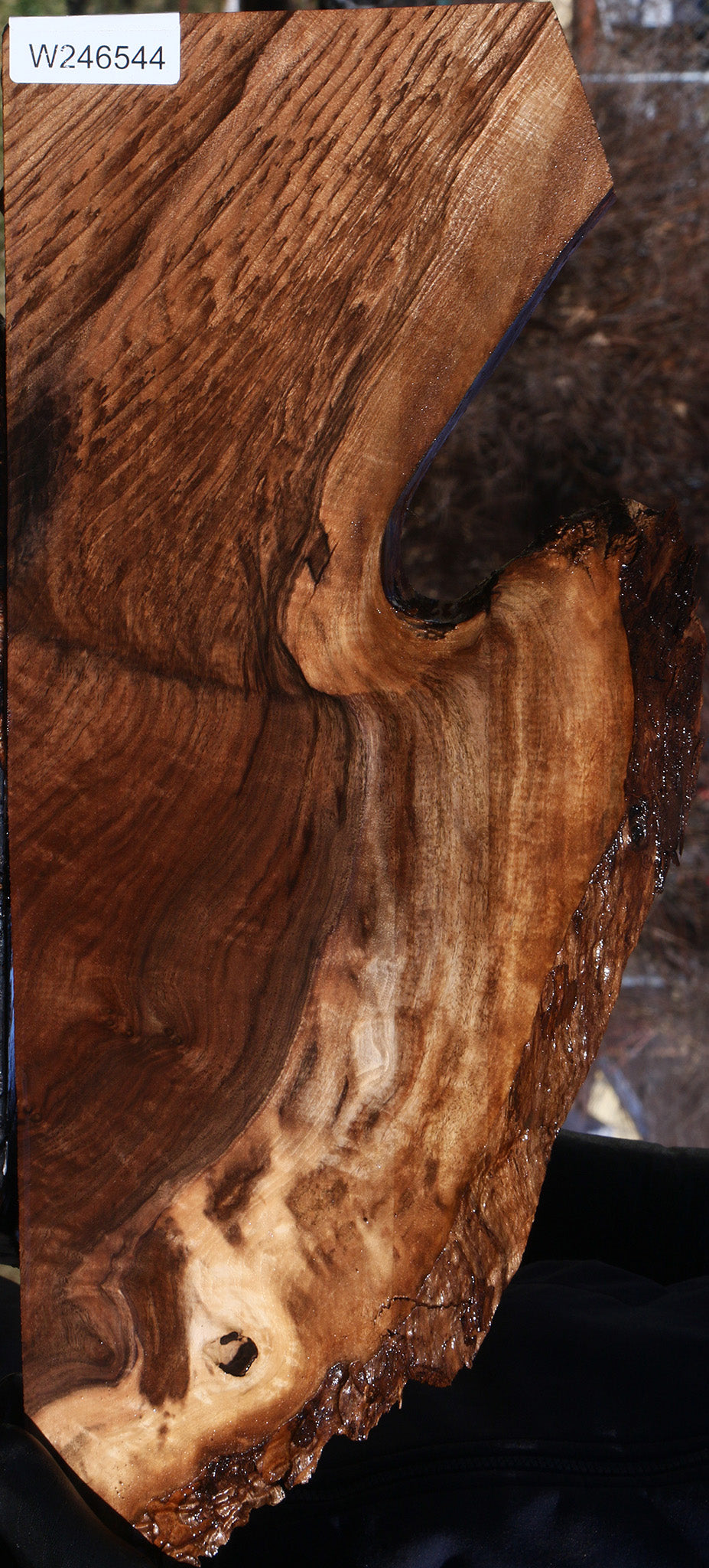 Extra Fancy Claro Walnut Live Edge Lumber