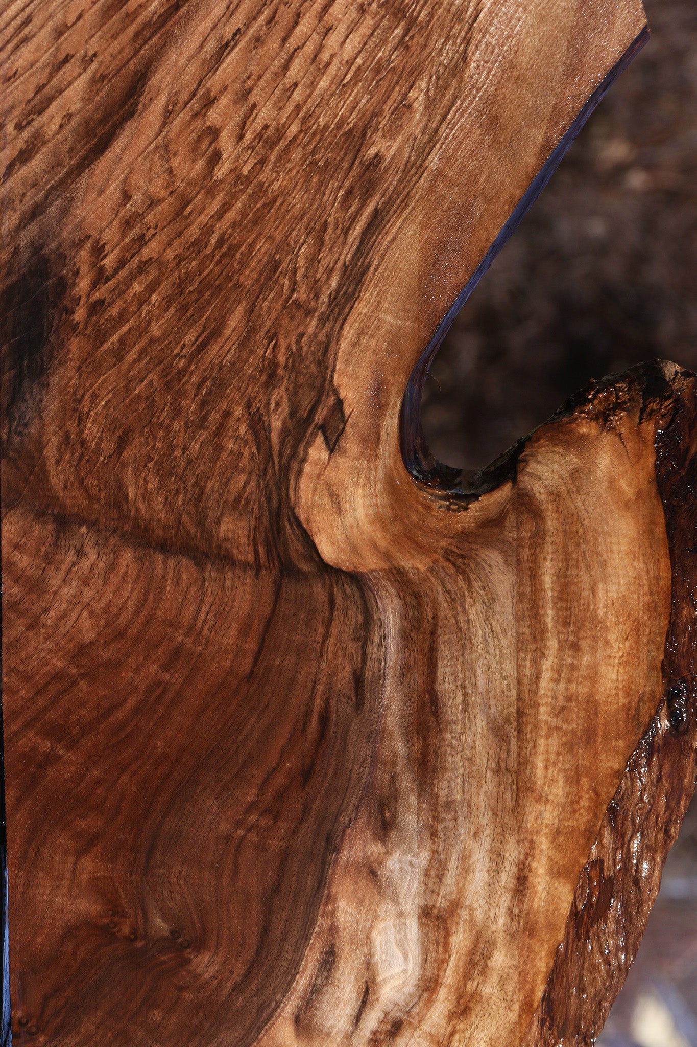 Extra Fancy Claro Walnut Live Edge Lumber