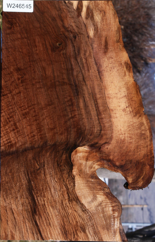 Extra Fancy Claro Walnut Live Edge Lumber
