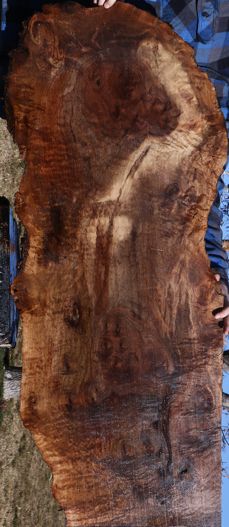 Extra Fancy Claro Walnut Live Edge Lumber