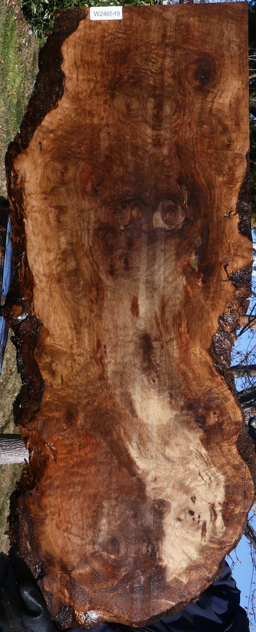 Extra Fancy Claro Walnut Live Edge Lumber