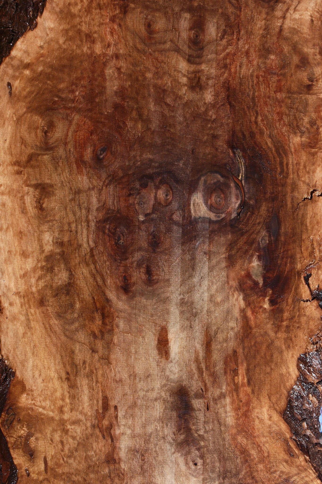 Extra Fancy Claro Walnut Live Edge Lumber