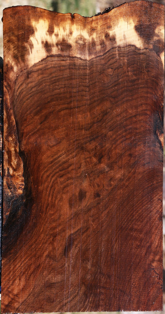 Extra Fancy Claro Walnut Live Edge Lumber