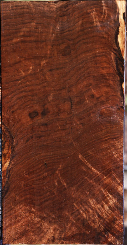 Extra Fancy Crotchwood Claro Walnut Lumber