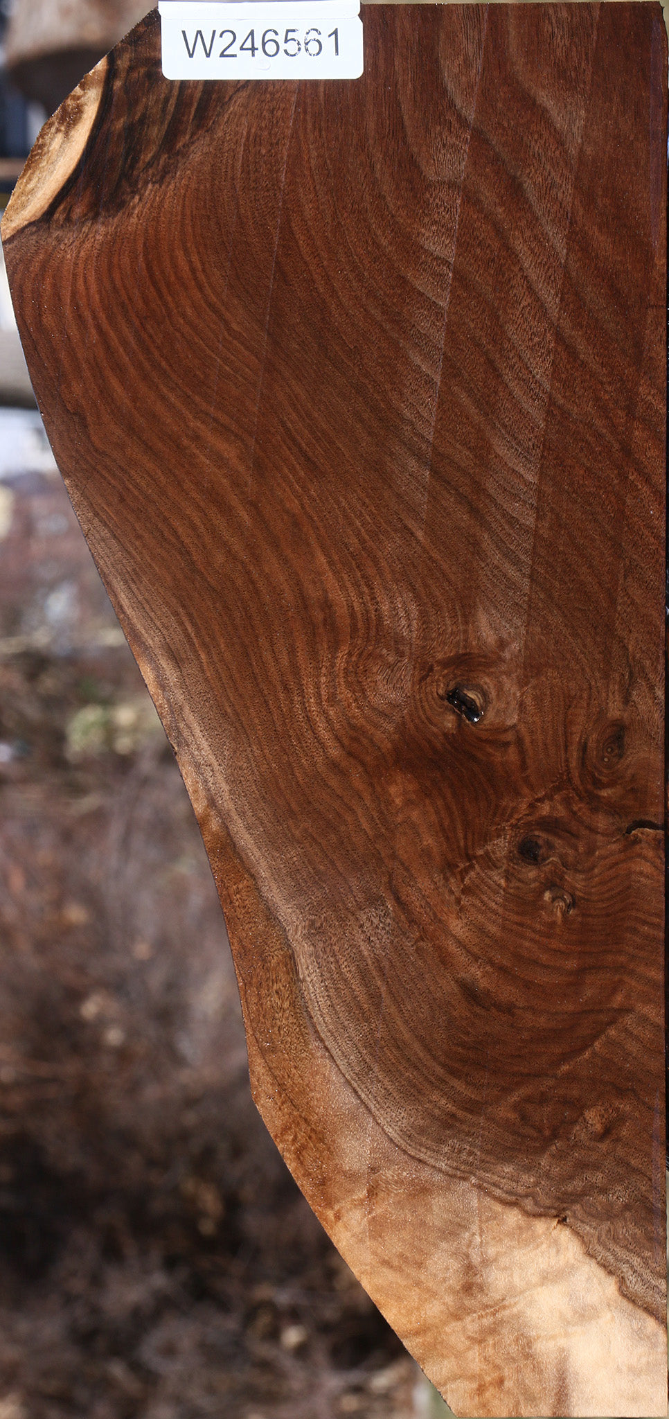 Claro Walnut Lumber