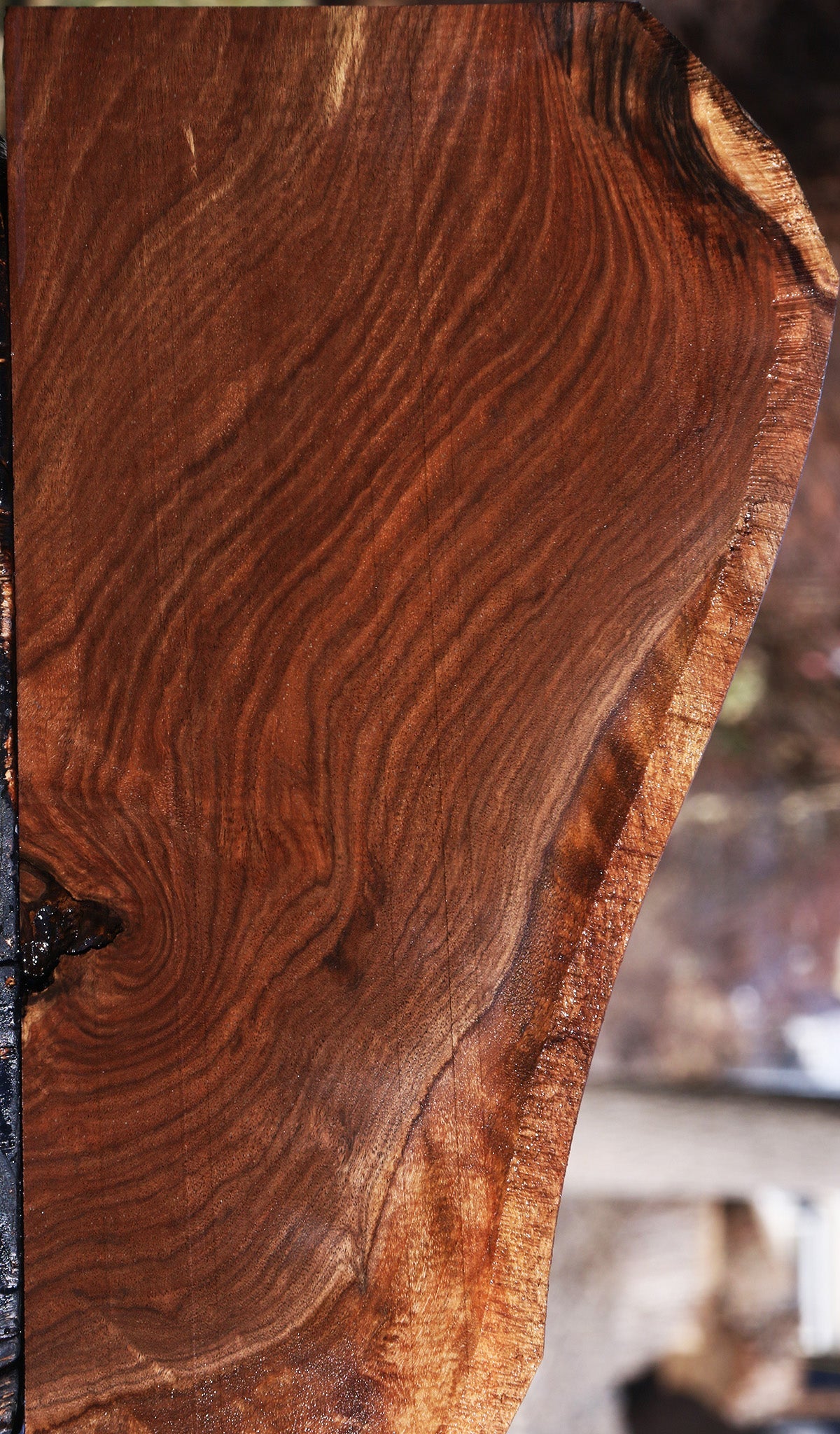 Claro Walnut Lumber