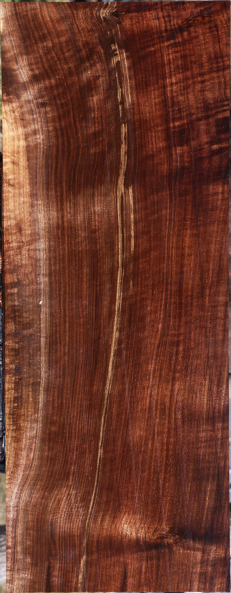 Extra Fancy Claro Walnut Lumber