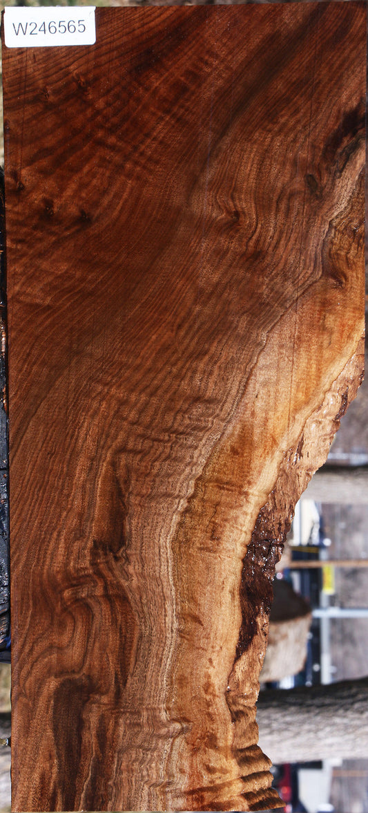 Extra Fancy Claro Walnut Lumber