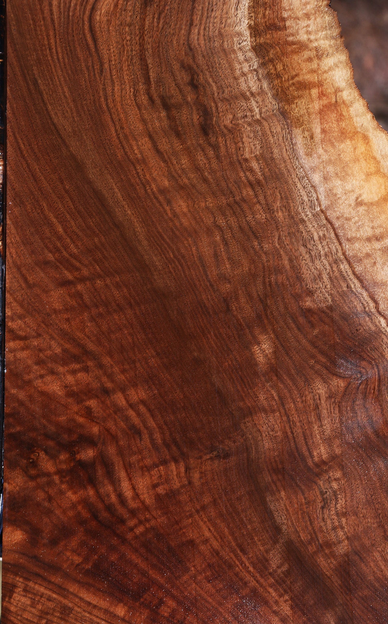 Extra Fancy Claro Walnut Lumber