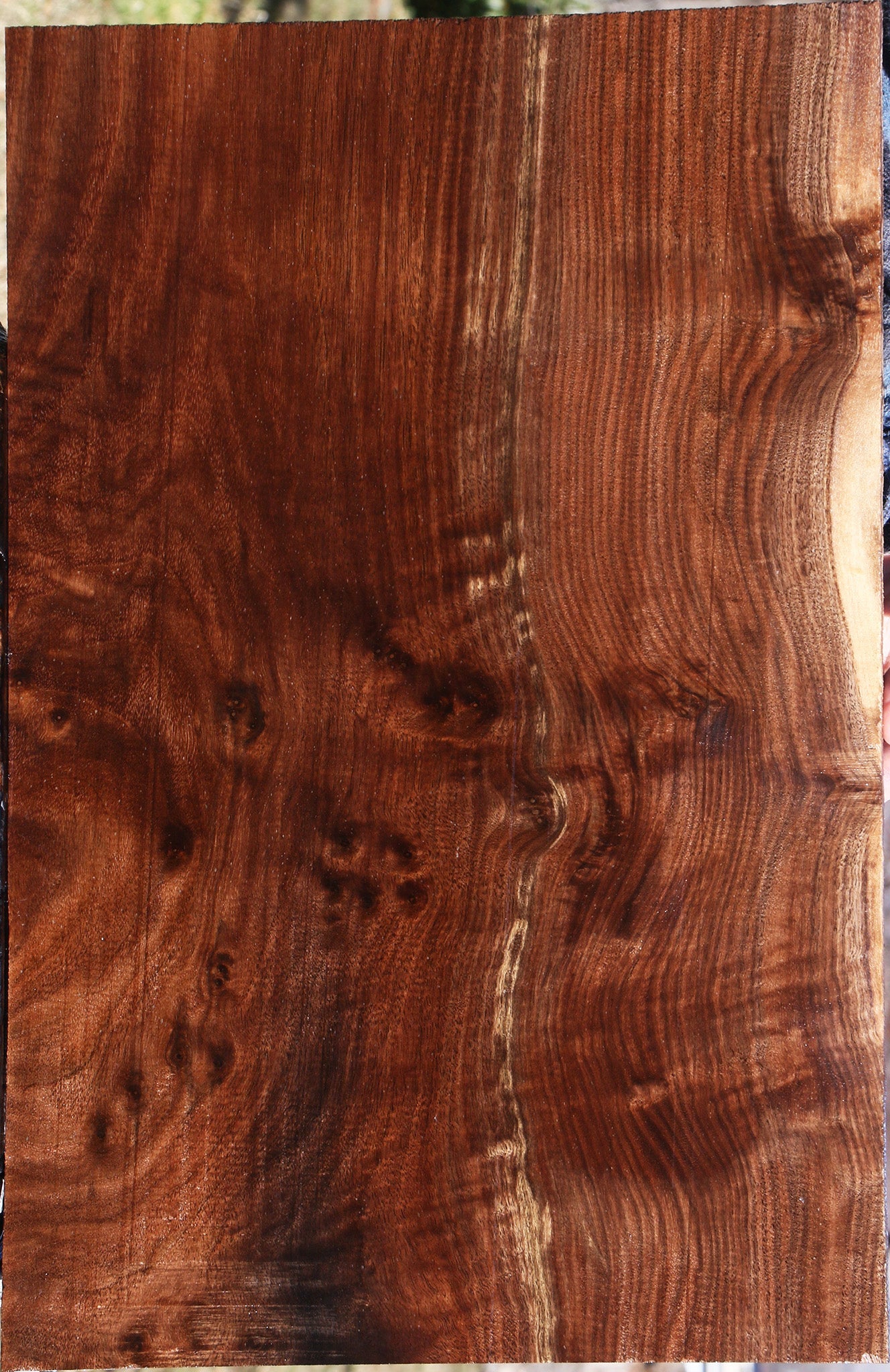 Figured Claro Walnut Lumber