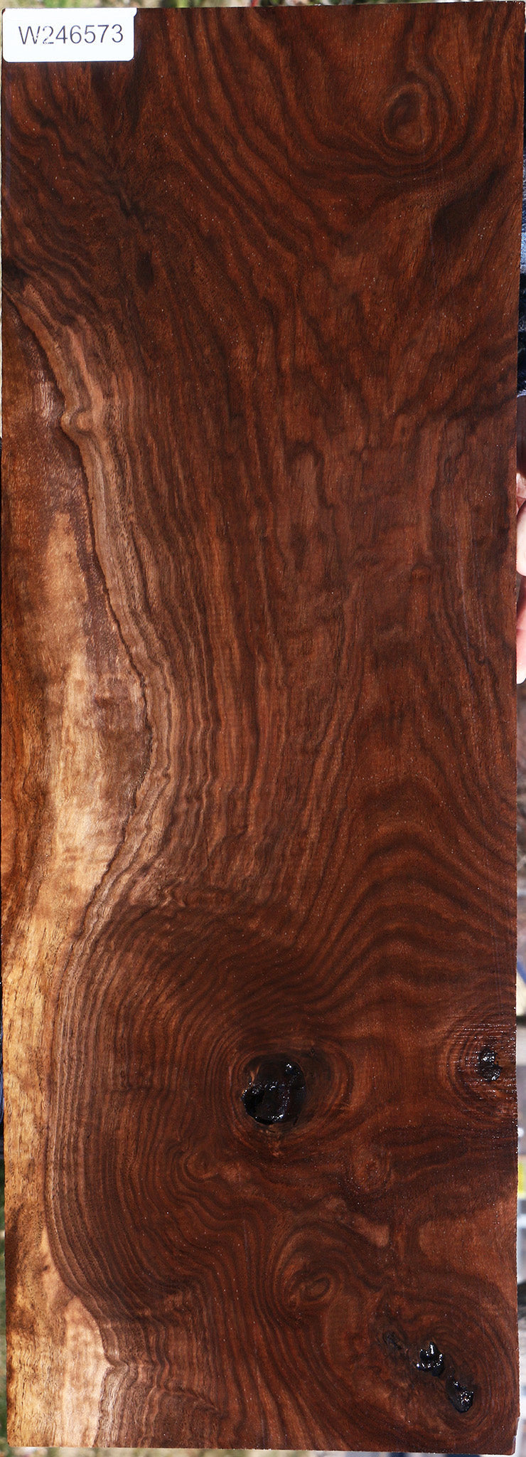 Extra Fancy Claro Walnut Lumber