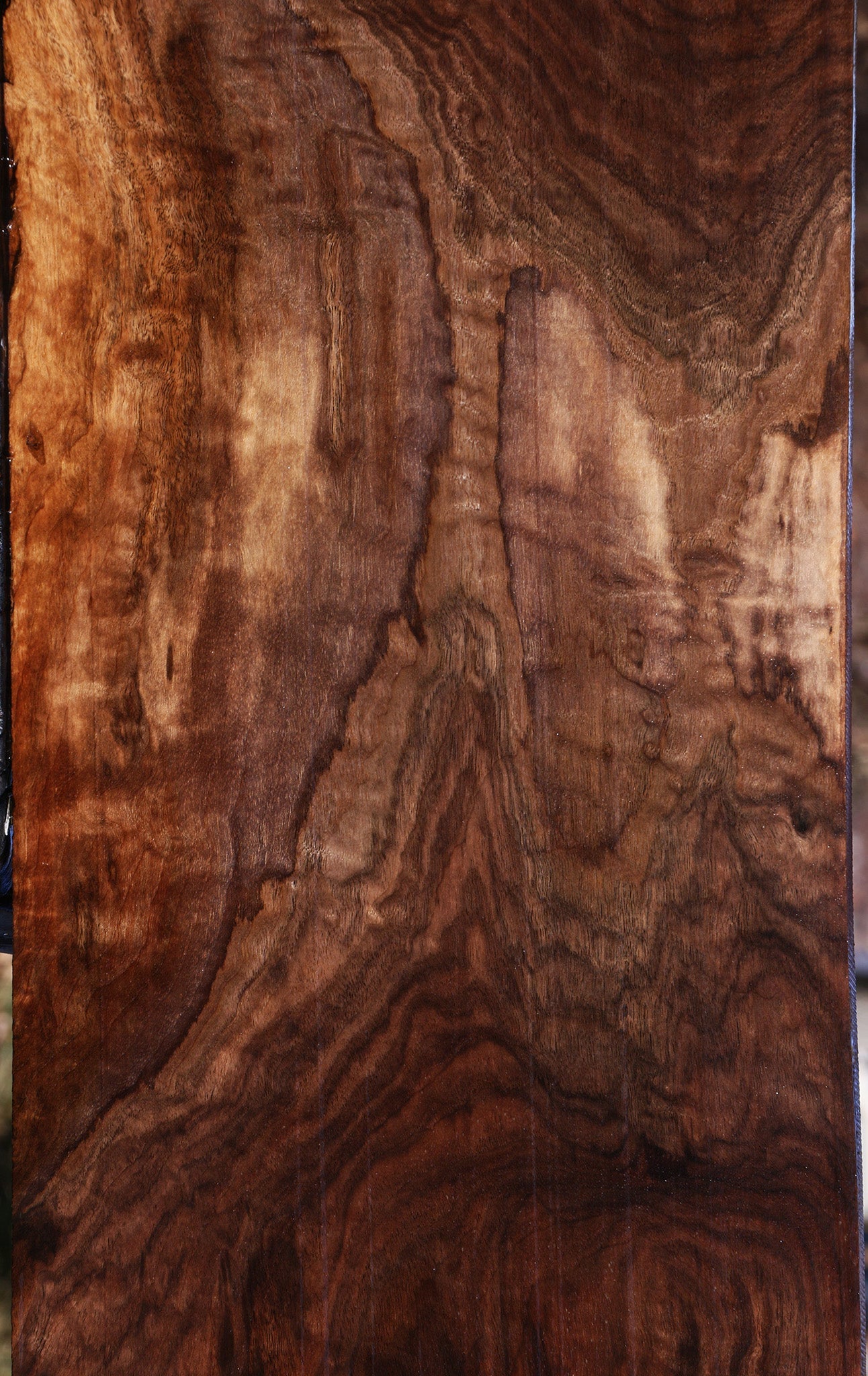 Extra Fancy Claro Walnut Lumber