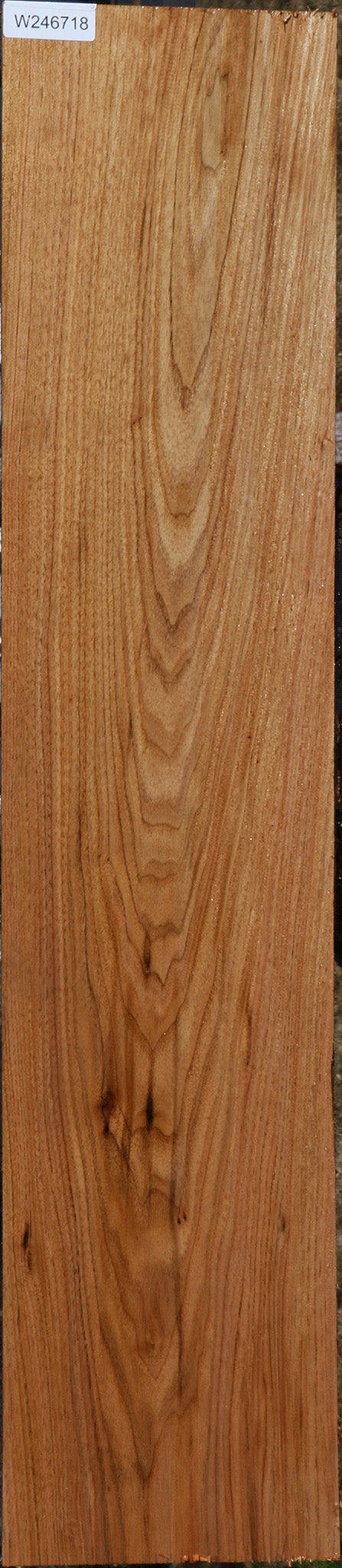 Butternut Lumber