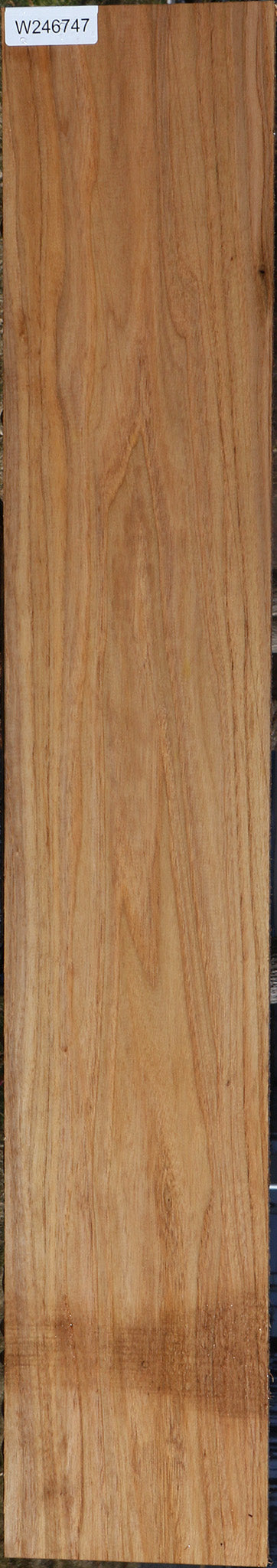 Butternut Lumber