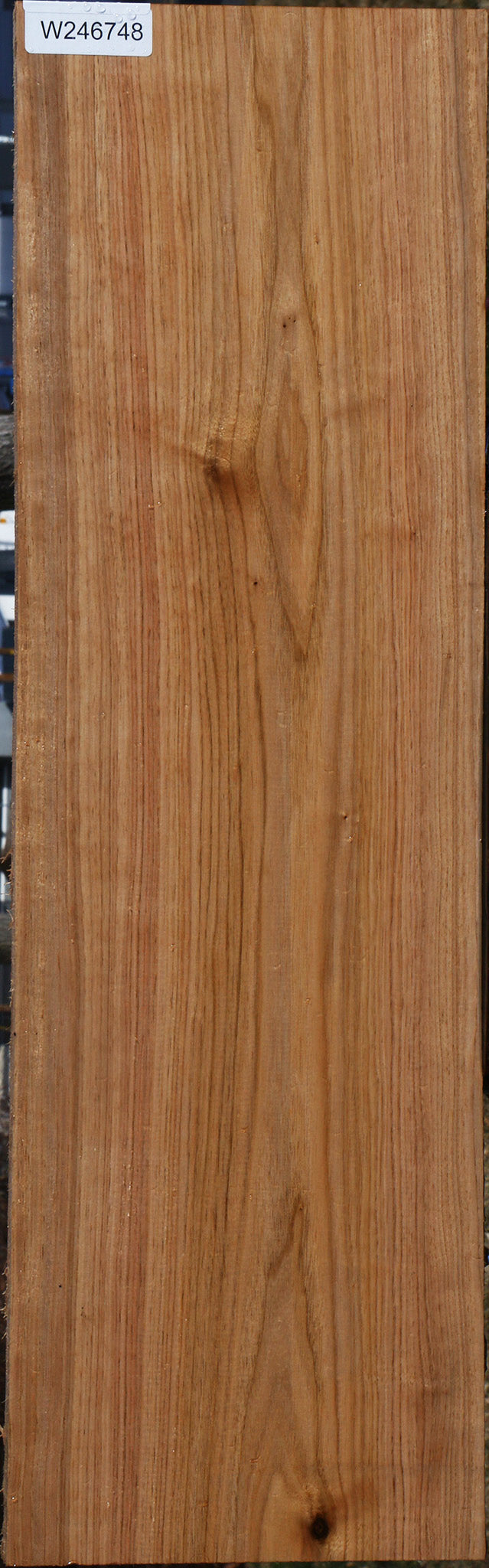 Butternut Lumber