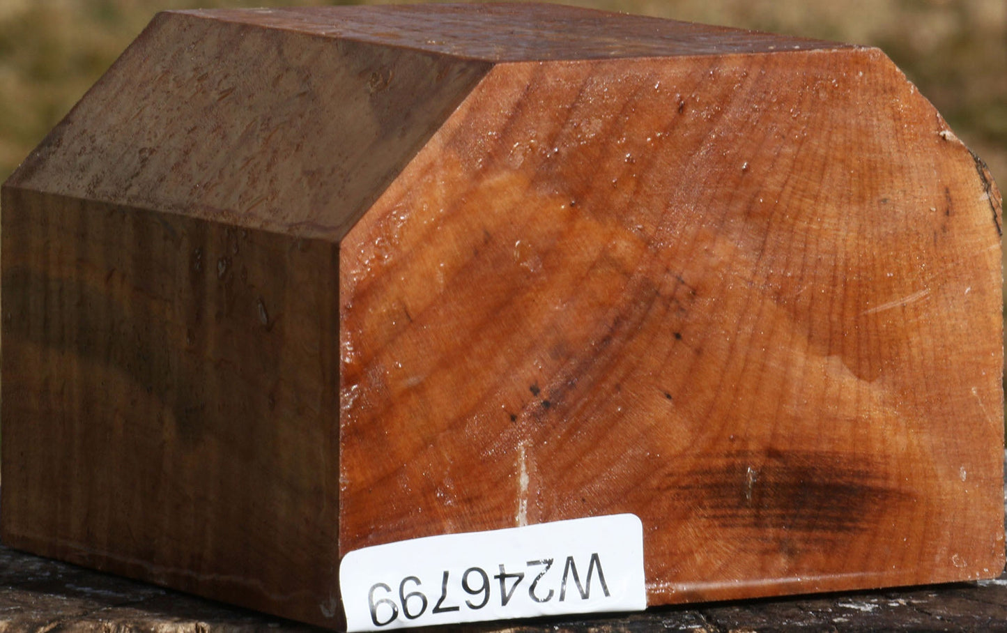 Extra Fancy Maple Bowl Blank