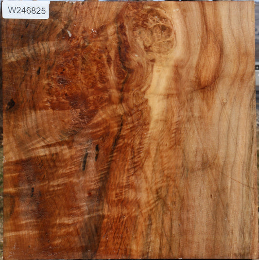 Figured Maple Bowl Blank