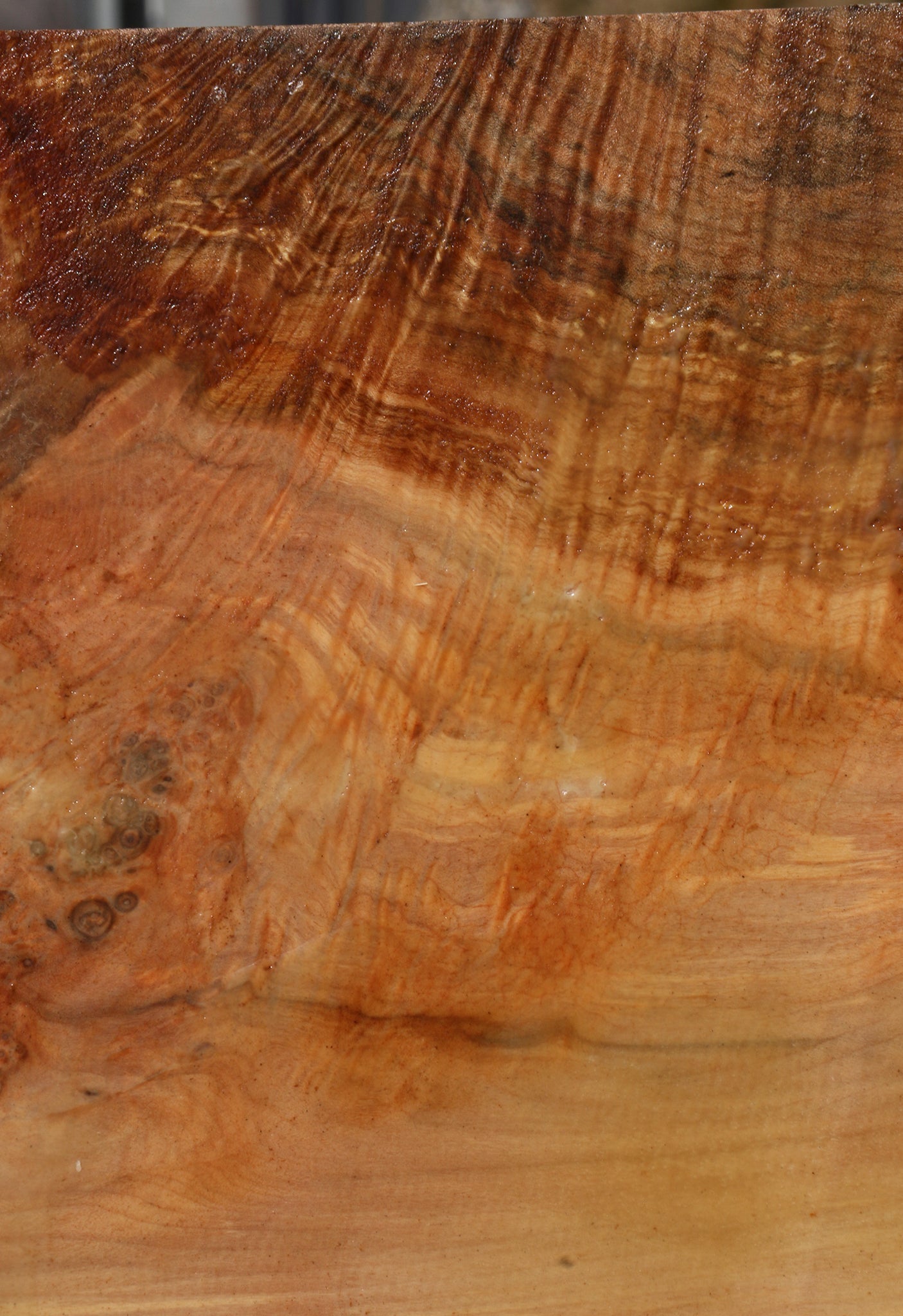 Figured Maple Bowl Blank