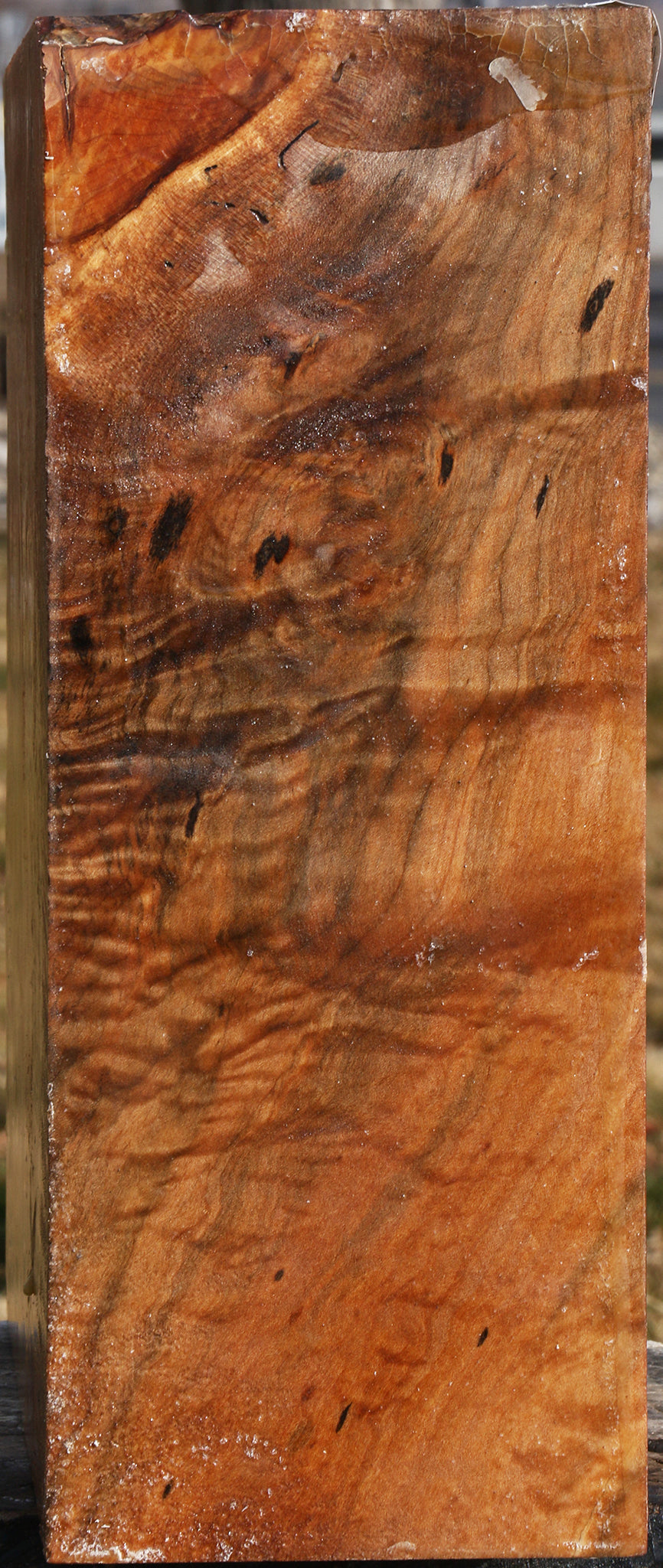 Figured Maple Bowl Blank