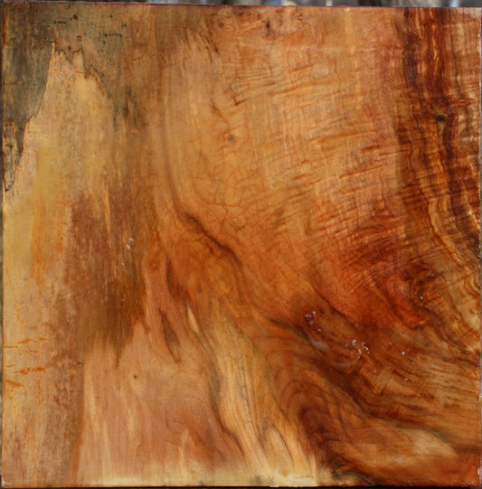 Figured Maple Bowl Blank