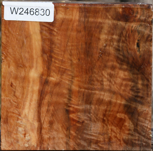 Extra Fancy Maple Bowl Blank