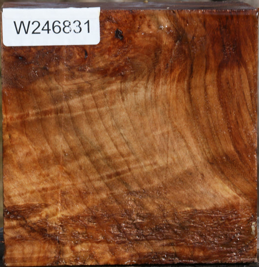 Figured Maple Bowl Blank