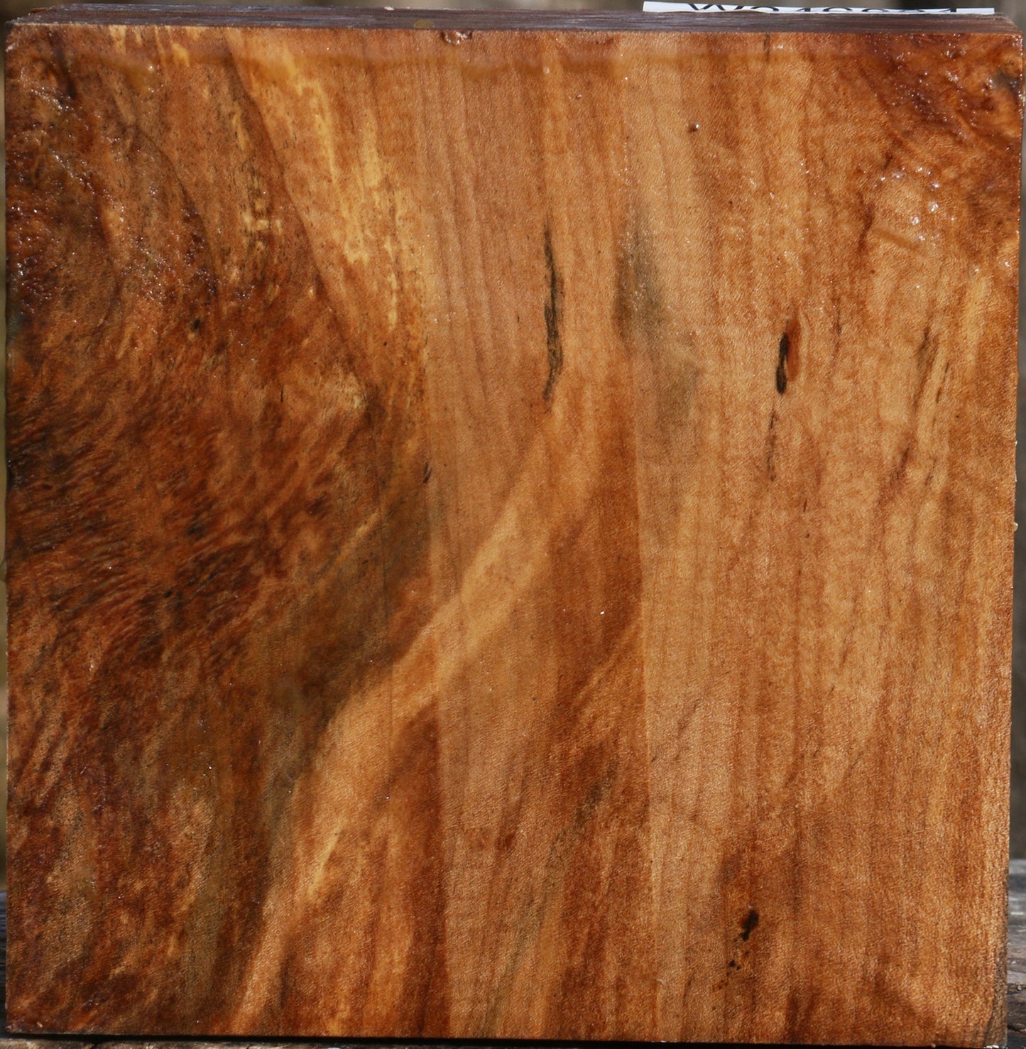 Figured Maple Bowl Blank