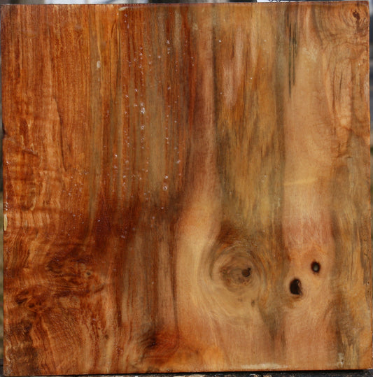 Figured Maple Bowl Blank