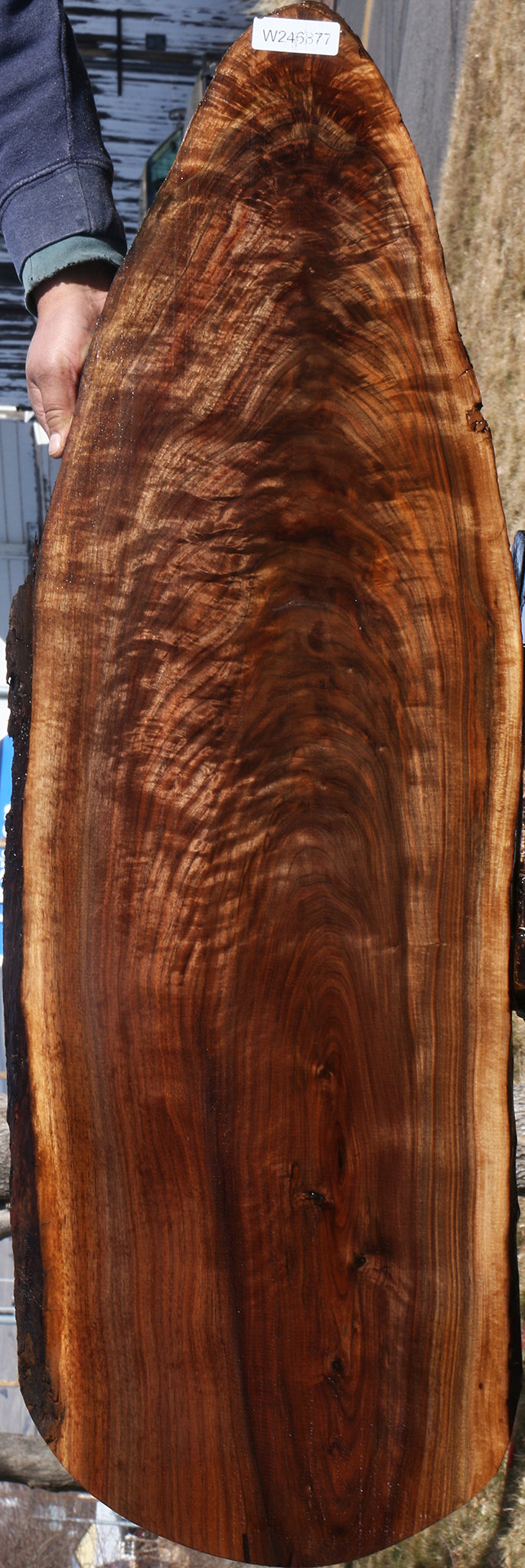 Exhibition Crotchwood Claro Walnut Cookie – Cook Woods