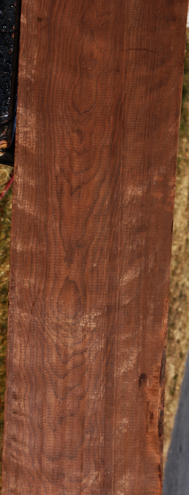Figured Caramelized Birch Lumber