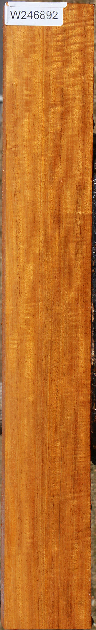 Figured Honduras Mahogany Instrument Lumber